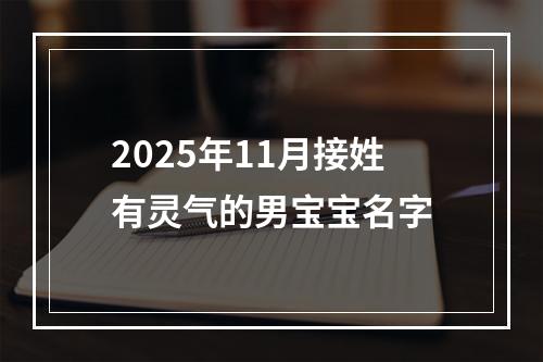 2025年11月接姓有灵气的男宝宝名字