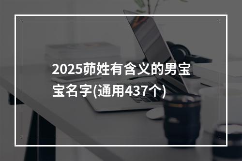 2025茆姓有含义的男宝宝名字(通用437个)