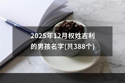 2025年12月权姓吉利的男孩名字(共388个)