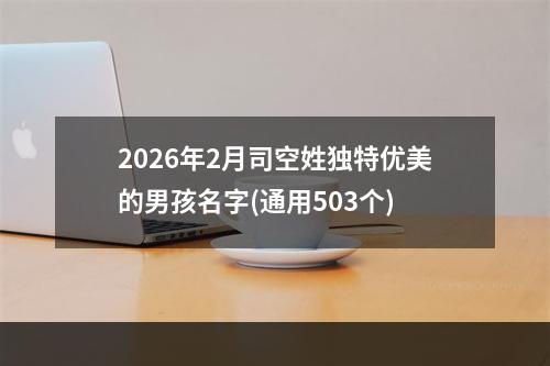 2026年2月司空姓独特优美的男孩名字(通用503个)