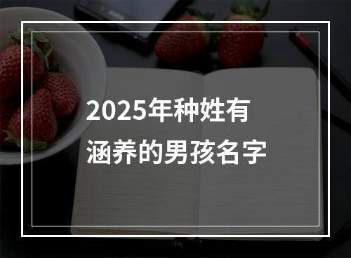 2025年种姓有涵养的男孩名字