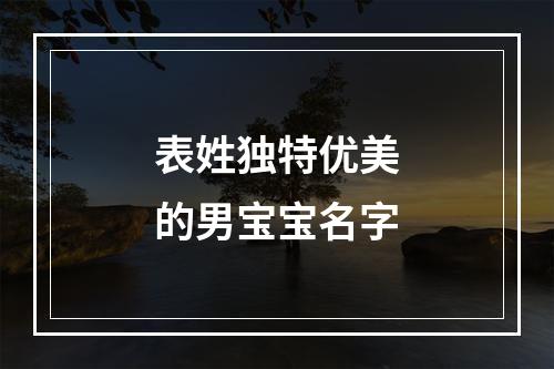表姓独特优美的男宝宝名字