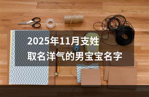 2025年11月支姓取名洋气的男宝宝名字