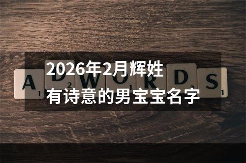 2026年2月辉姓有诗意的男宝宝名字