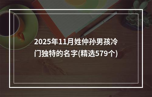 2025年11月姓仲孙男孩冷门独特的名字(精选579个)