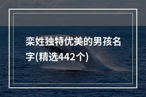 栾姓独特优美的男孩名字(精选442个)