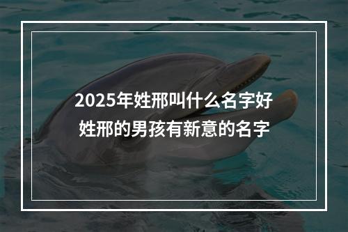2025年姓邢叫什么名字好 姓邢的男孩有新意的名字