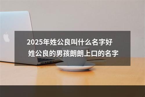 2025年姓公良叫什么名字好 姓公良的男孩朗朗上口的名字