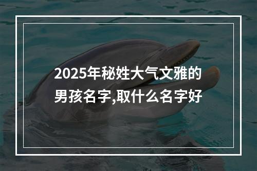 2025年秘姓大气文雅的男孩名字,取什么名字好