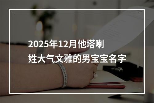2025年12月他塔喇姓大气文雅的男宝宝名字