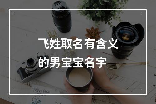 飞姓取名有含义的男宝宝名字