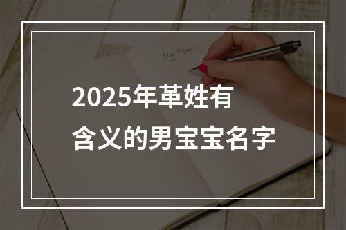 2025年革姓有含义的男宝宝名字