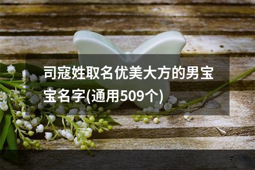 司寇姓取名优美大方的男宝宝名字(通用509个)