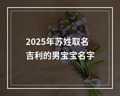 2025年苏姓取名吉利的男宝宝名字