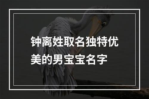 钟离姓取名独特优美的男宝宝名字
