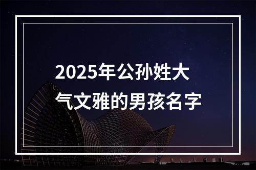 2025年公孙姓大气文雅的男孩名字