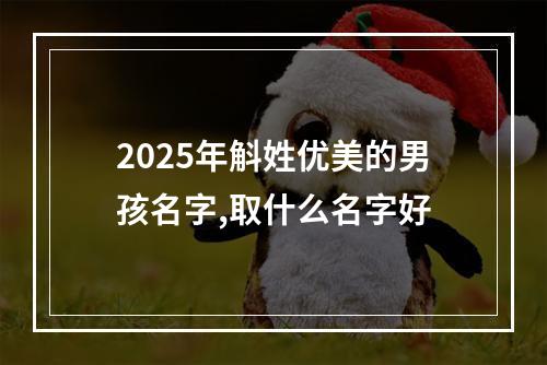 2025年斛姓优美的男孩名字,取什么名字好