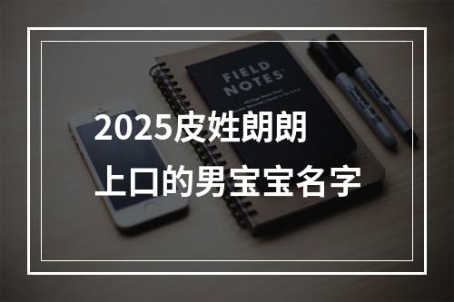 2025皮姓朗朗上口的男宝宝名字