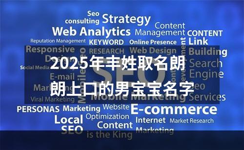 2025年丰姓取名朗朗上口的男宝宝名字