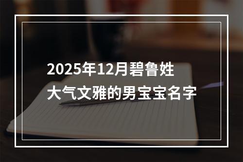 2025年12月碧鲁姓大气文雅的男宝宝名字