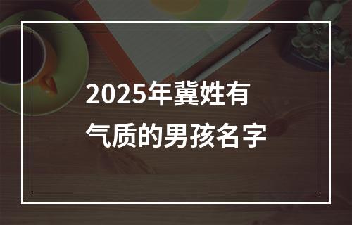 2025年冀姓有气质的男孩名字