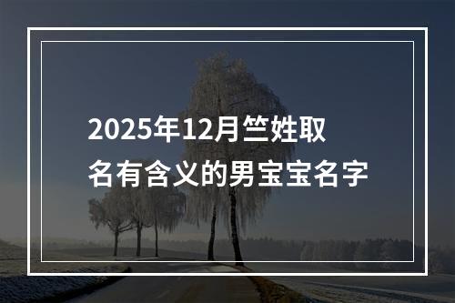2025年12月竺姓取名有含义的男宝宝名字