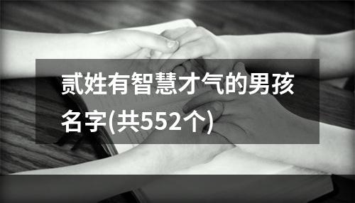 贰姓有智慧才气的男孩名字(共552个)