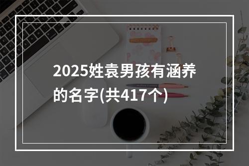 2025姓袁男孩有涵养的名字(共417个)