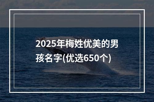 2025年梅姓优美的男孩名字(优选650个)