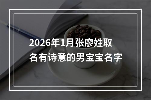 2026年1月张廖姓取名有诗意的男宝宝名字