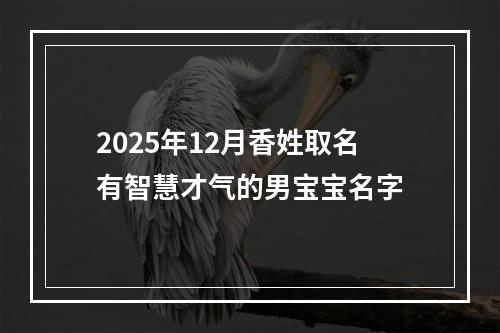 2025年12月香姓取名有智慧才气的男宝宝名字