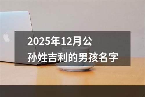 2025年12月公孙姓吉利的男孩名字
