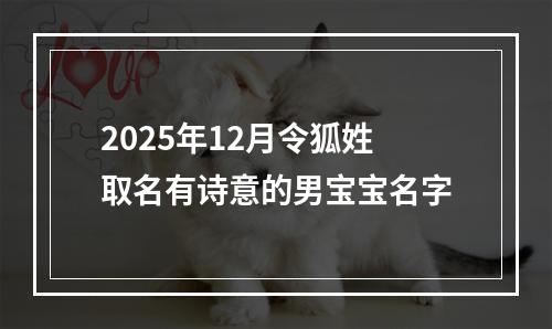 2025年12月令狐姓取名有诗意的男宝宝名字