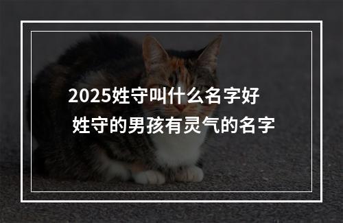 2025姓守叫什么名字好 姓守的男孩有灵气的名字