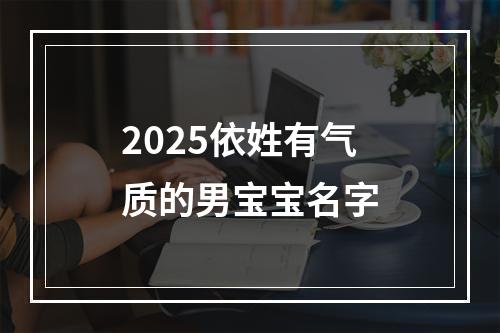 2025依姓有气质的男宝宝名字