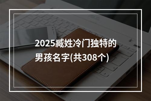 2025臧姓冷门独特的男孩名字(共308个)
