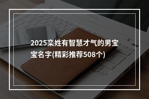 2025栾姓有智慧才气的男宝宝名字(精彩推荐508个)