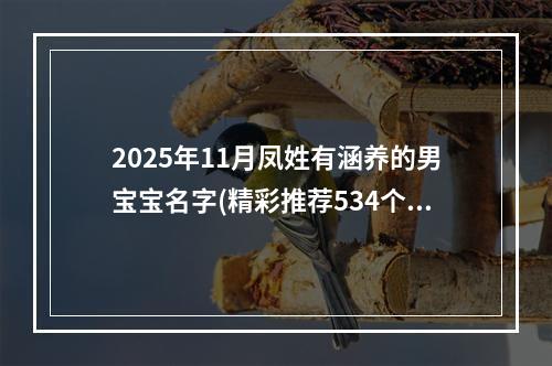 2025年11月凤姓有涵养的男宝宝名字(精彩推荐534个)