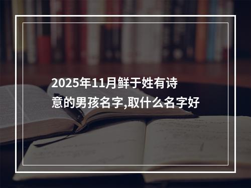2025年11月鲜于姓有诗意的男孩名字,取什么名字好