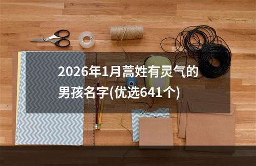 2026年1月蒿姓有灵气的男孩名字(优选641个)