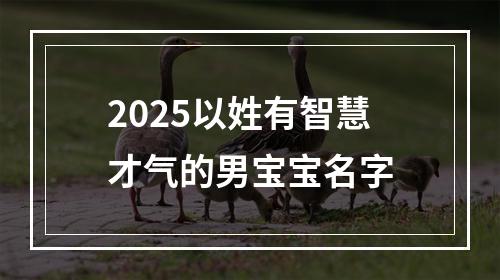 2025以姓有智慧才气的男宝宝名字