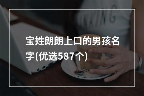 宝姓朗朗上口的男孩名字(优选587个)
