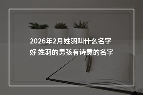 2026年2月姓羽叫什么名字好 姓羽的男孩有诗意的名字