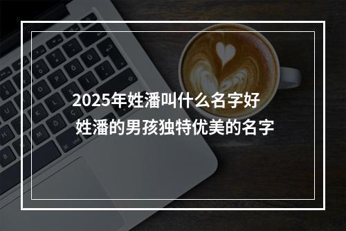 2025年姓潘叫什么名字好 姓潘的男孩独特优美的名字
