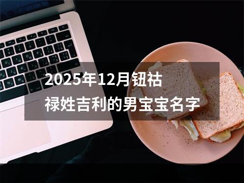 2025年12月钮祜禄姓吉利的男宝宝名字