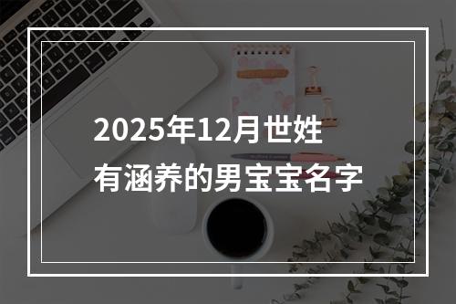 2025年12月世姓有涵养的男宝宝名字