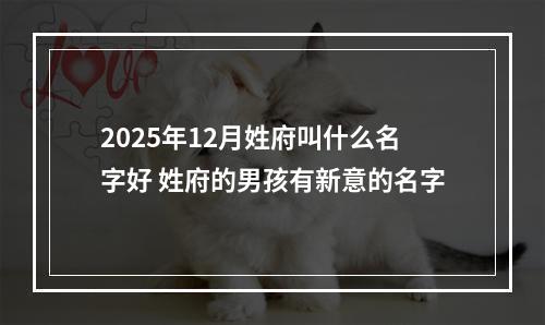 2025年12月姓府叫什么名字好 姓府的男孩有新意的名字