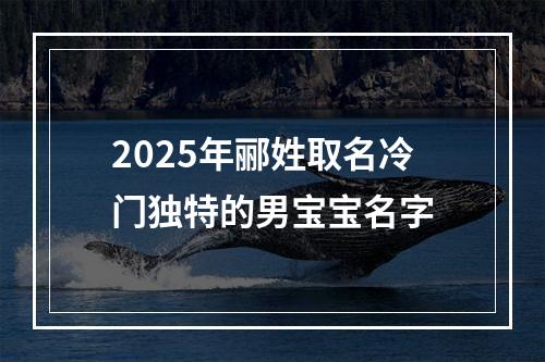 2025年郦姓取名冷门独特的男宝宝名字