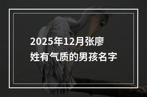 2025年12月张廖姓有气质的男孩名字