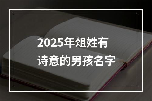 2025年俎姓有诗意的男孩名字